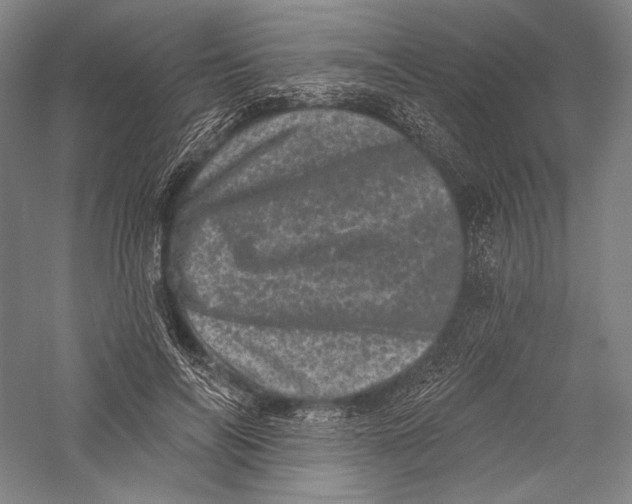 X0000055970694200509091444