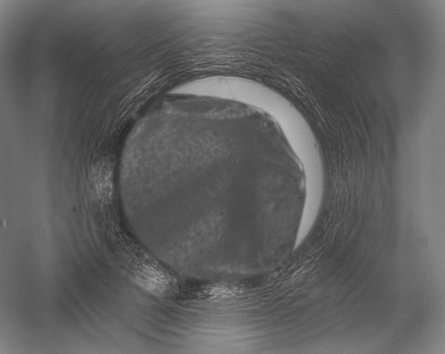 X0000055970697200509091444