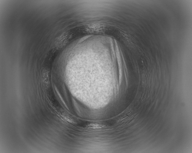 X0000055970699200509091444