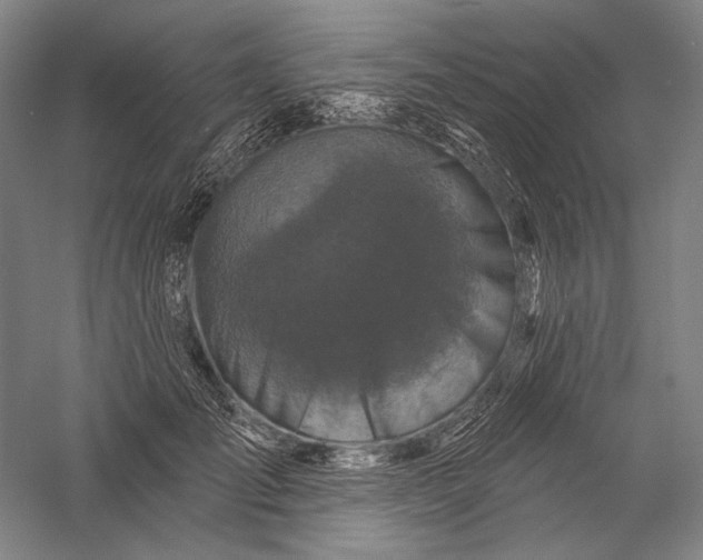X0000055970701200509091444