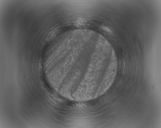 X0000055970702200509091444