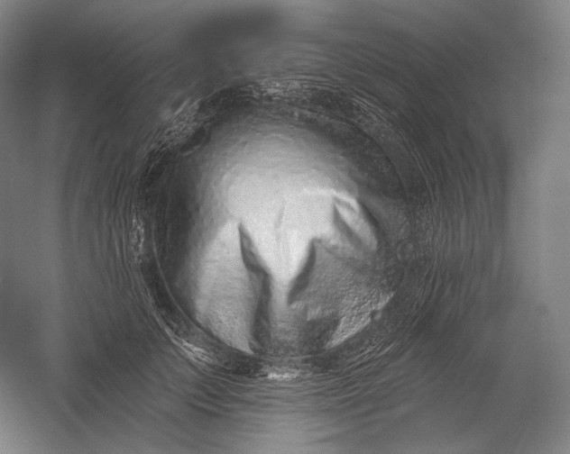 X0000055970703200509091444