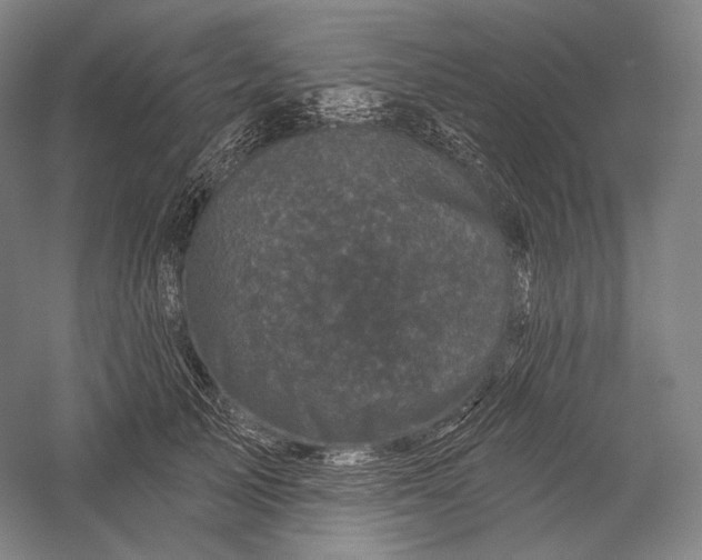 X0000055970705200509091444