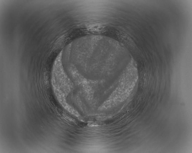 X0000055970706200509091444