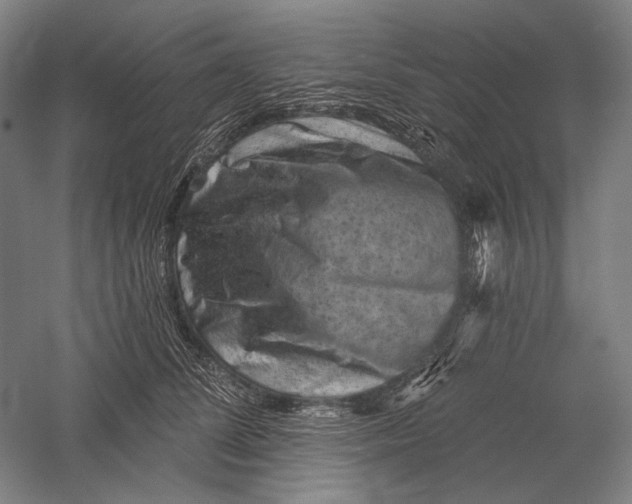 X0000055970708200509091444