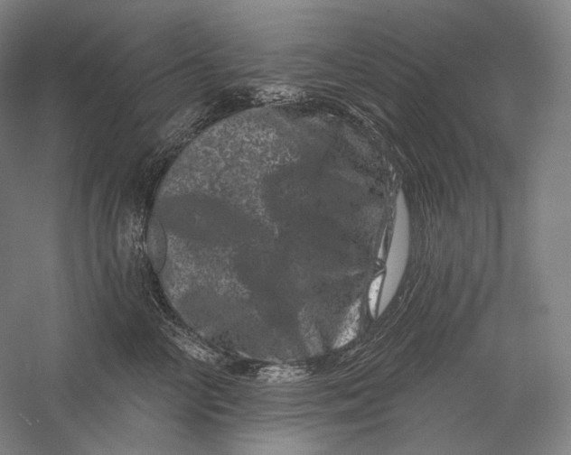 X0000055970714200509091444