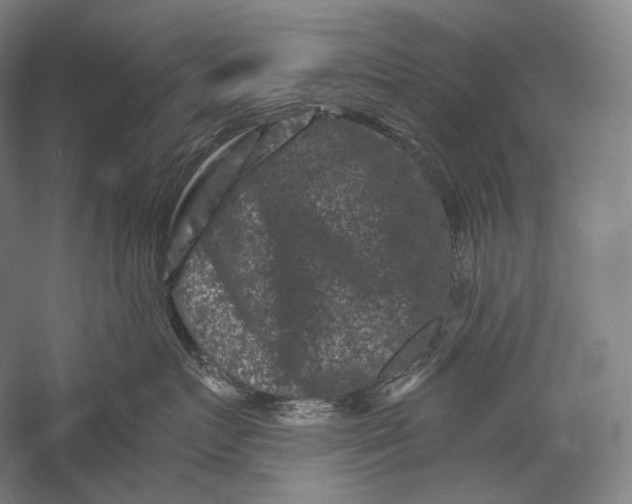 X0000055970719200509091444