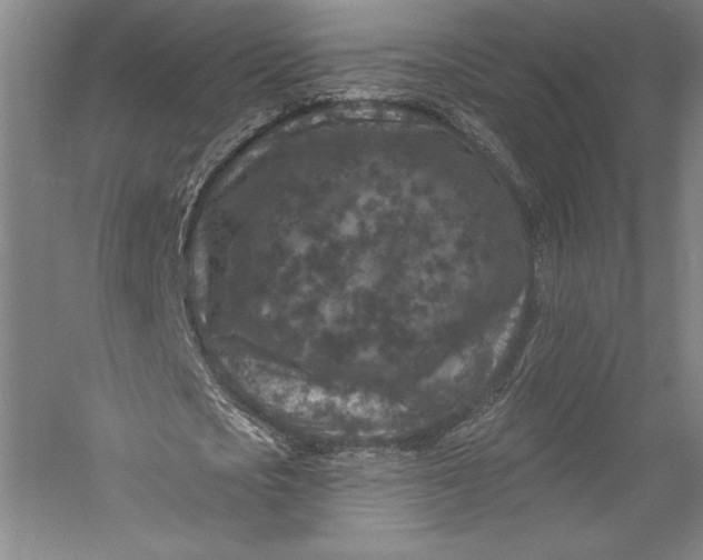 X0000055970721200509091443