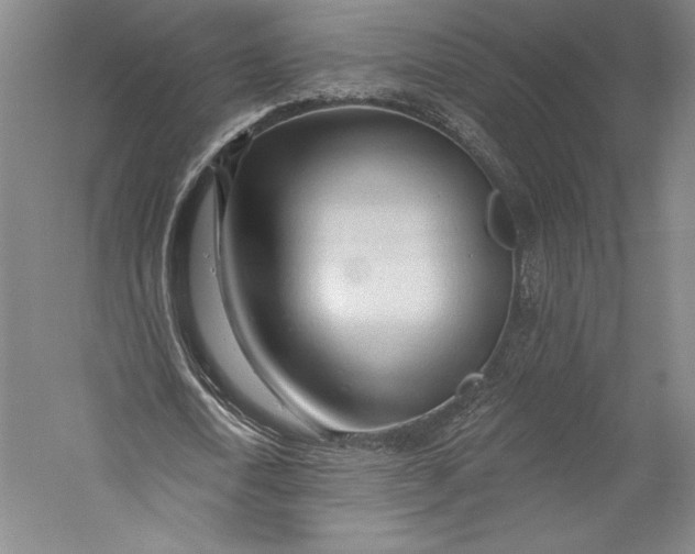 X0000055970722200509091443