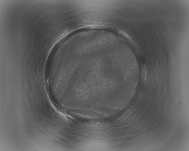 X0000055970730200509091443