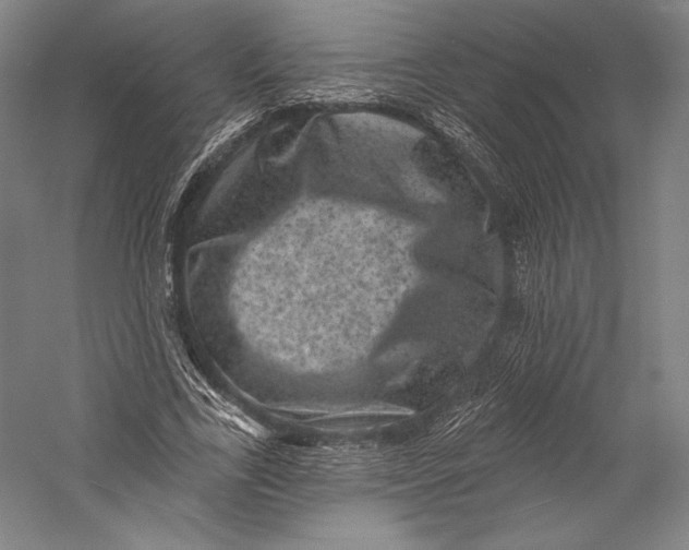 X0000055970731200509091443