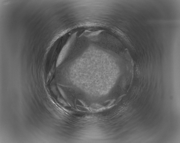 X0000055970732200509091443