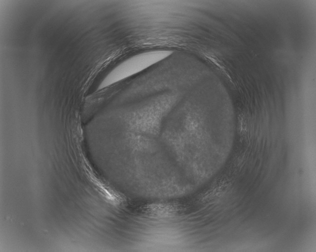 X0000055970733200509091443