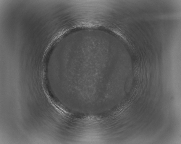 X0000055970736200509091443
