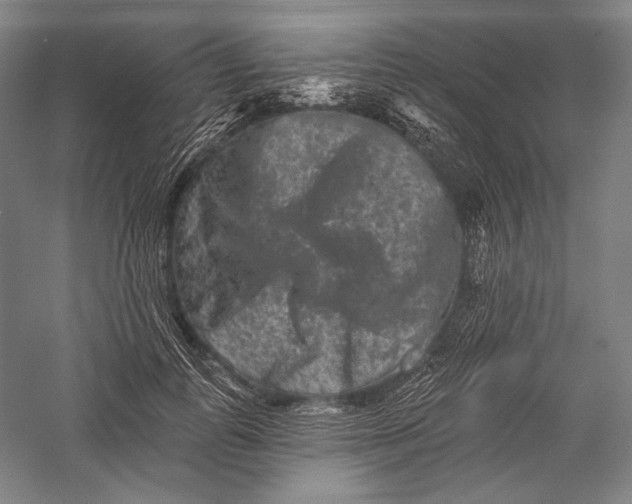 X0000055970747200509091443