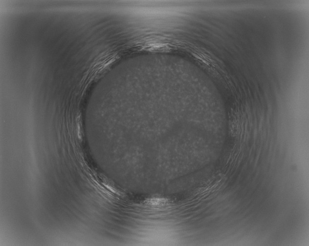 X0000055970748200509091443