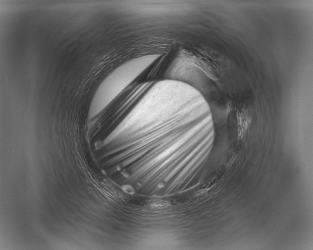 X0000055970750200509091443