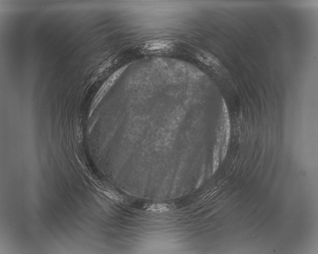 X0000055970751200509091444