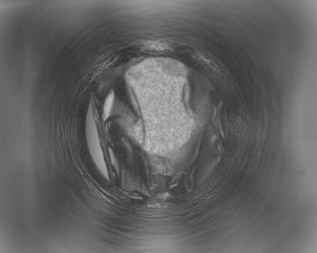 X0000055970752200509091444