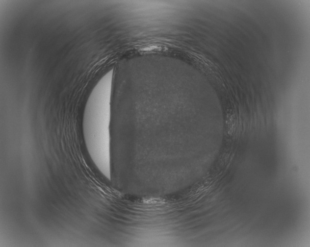 X0000055970753200509091444