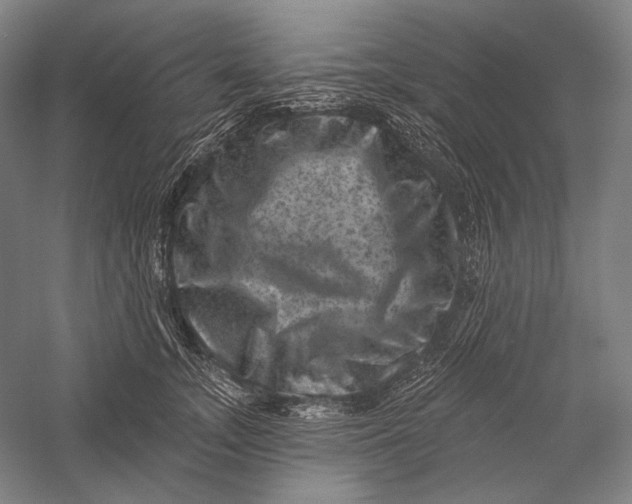 X0000055970755200509091444