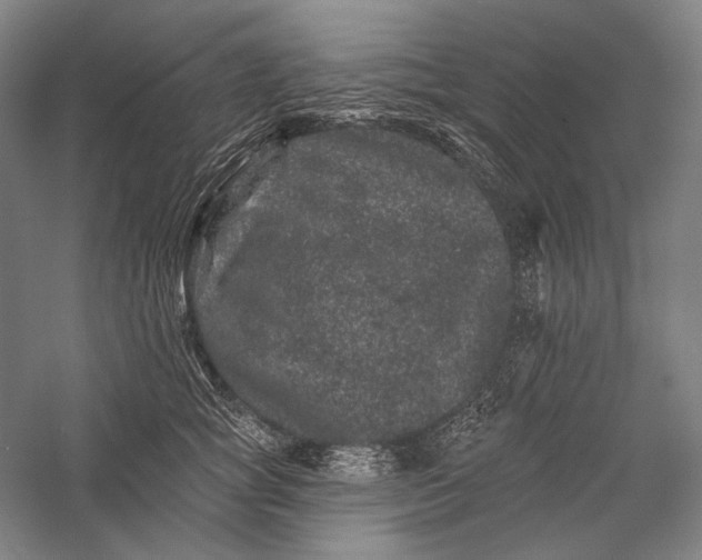 X0000055970757200509091444