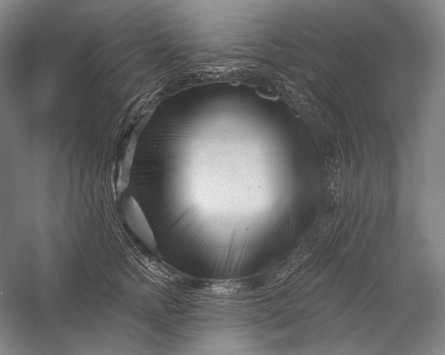 X0000055970758200509091444