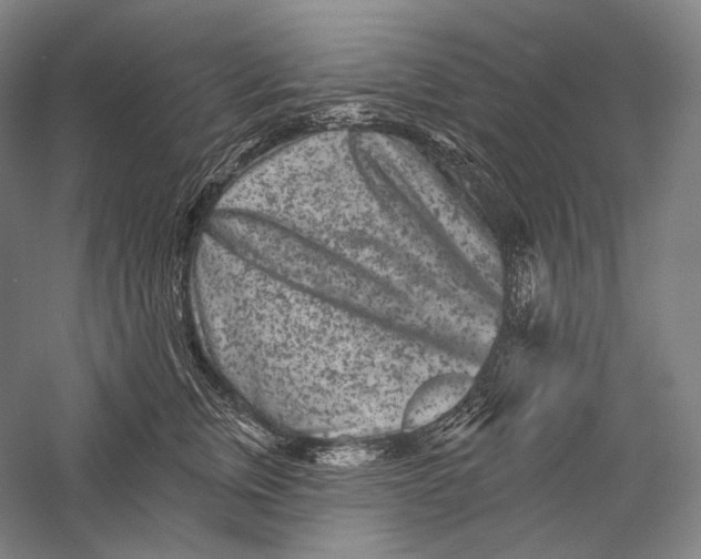 X0000055970759200509091444