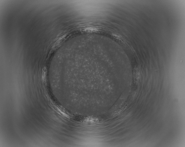 X0000055970760200509091444