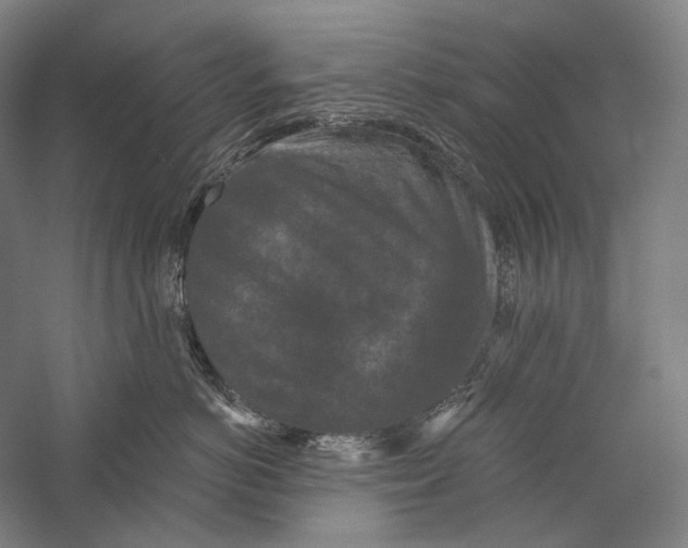 X0000055970766200509091444