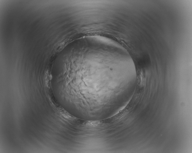 X0000055970767200509091444