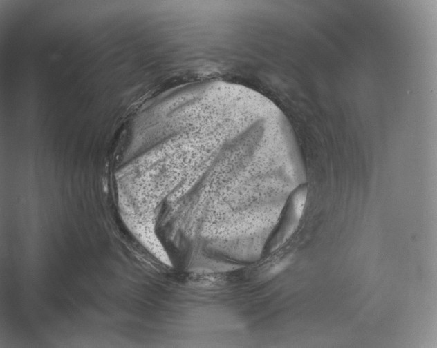 X0000055970768200509091444