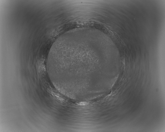 X0000055970770200509091443