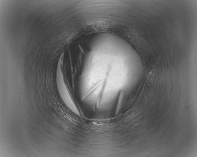 X0000055970772200509091443