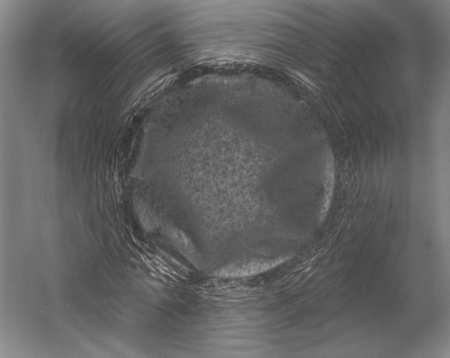 X0000055970774200509091443