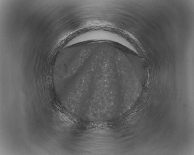 X0000055970775200509091443