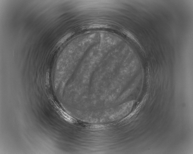 X0000055970777200509091443