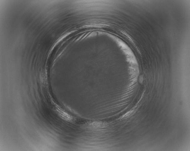 X0000055970779200509091443