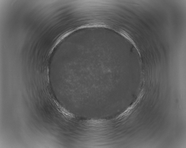 X0000055970781200509091443