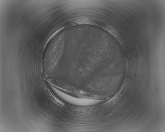 X0000055970782200509091443
