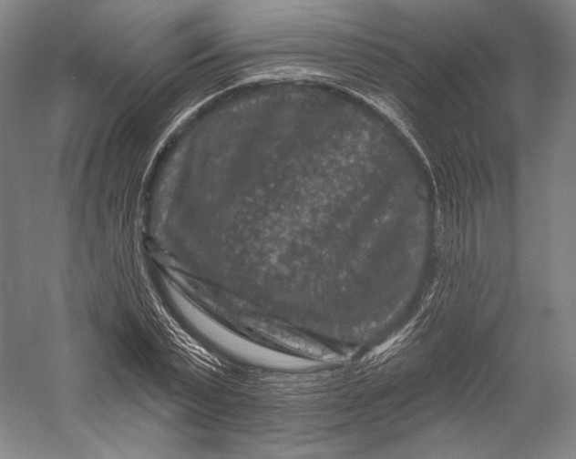 X0000055970783200509091443