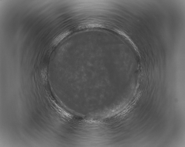 X0000055970785200509091443