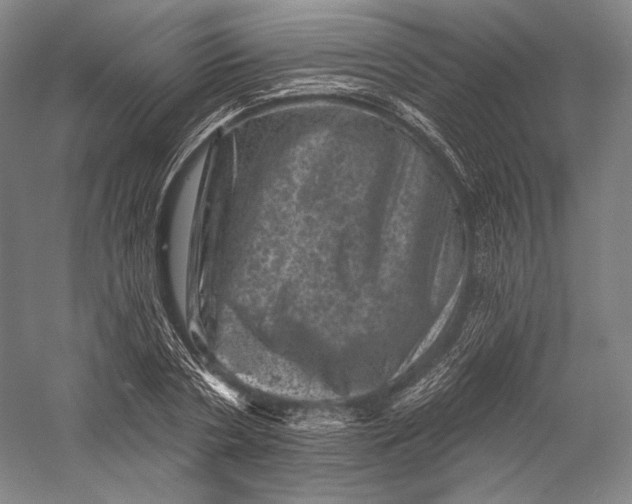 X0000055970786200509091443