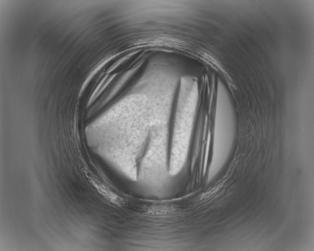 X0000055970788200509091443