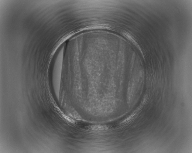 X0000055970789200509091443