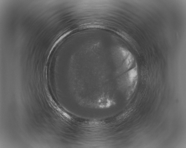 X0000055970790200509091443