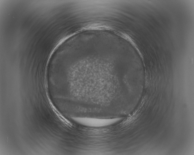 X0000055970795200509091443