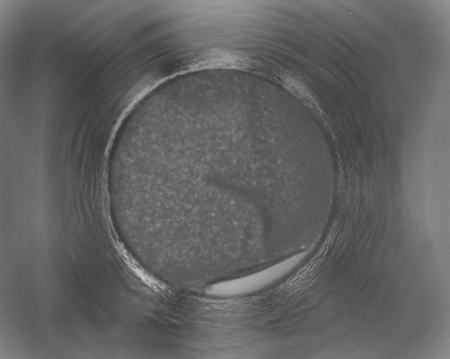 X0000055970800200509091442
