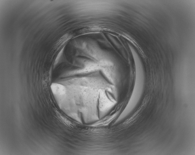 X0000055970801200509091442