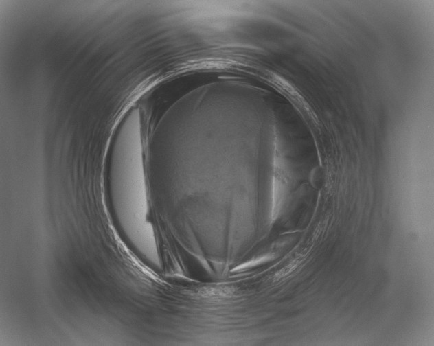 X0000055970802200509091442